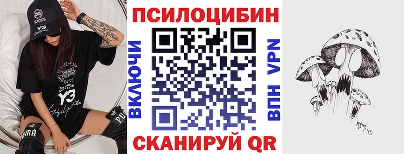 MEGA ссылка  сколько стоит  Уссурийск  Псилоцибиновые грибы мицелий 